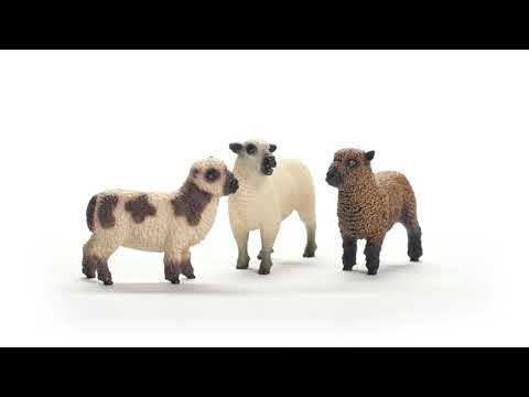 Schleich Sheep Friends Set