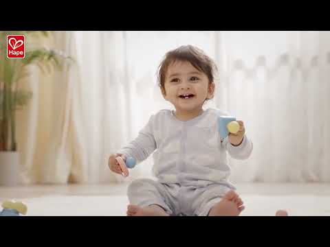 Montessori Mirror Shape Puzzle Hape