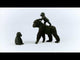 Schleich Gorilla Family