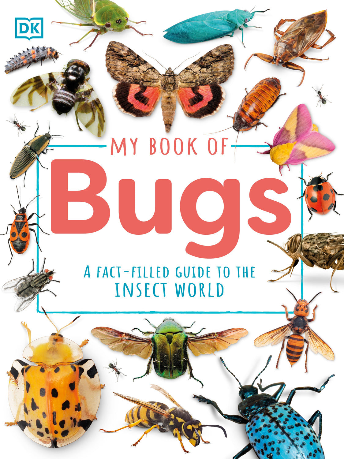 My Book of Bugs: A Fact-Filled Guide to the Insect World