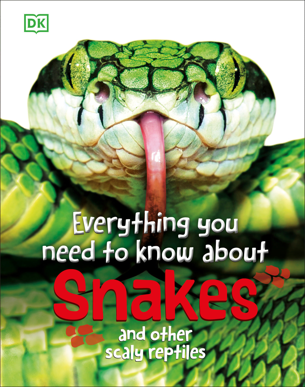 Everything You Need to Know About Snakes: And Other Scaly Reptiles