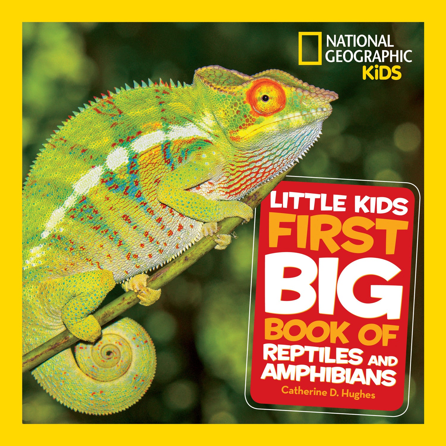 Little Kids First Big Book of Science National Geographic