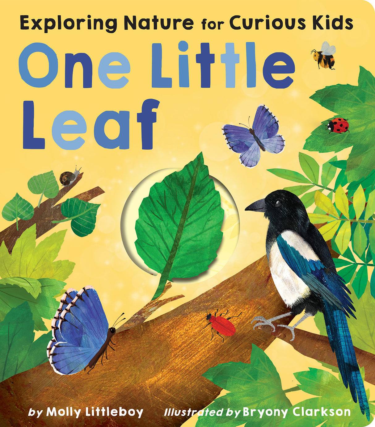 One Little Leaf: Exploring Nature for Curious Kids