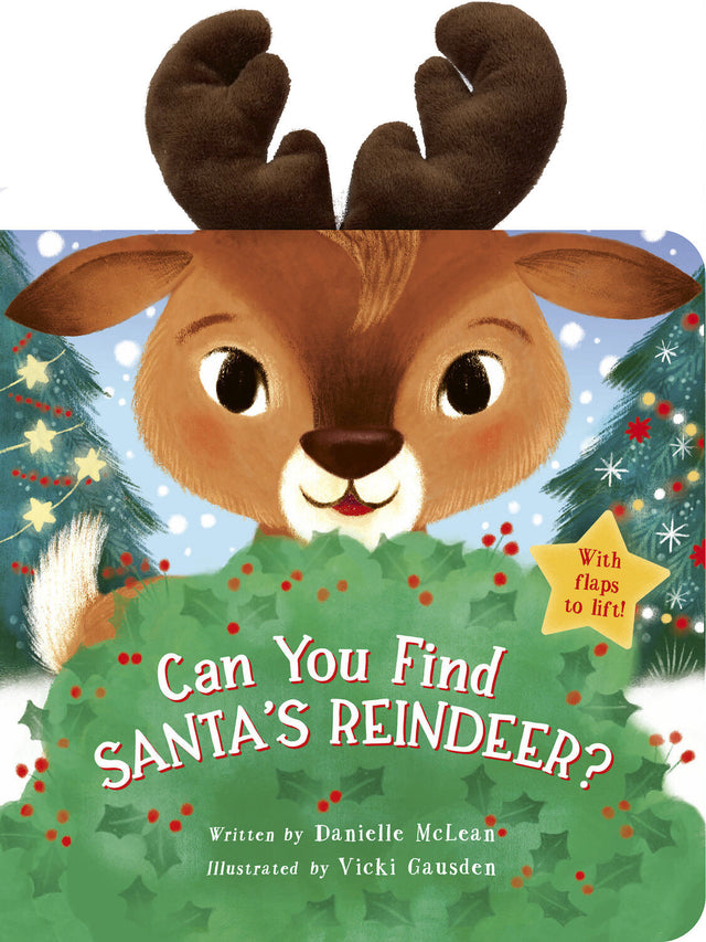 Can You Find Santa's Reindeer?: With flaps to lift!