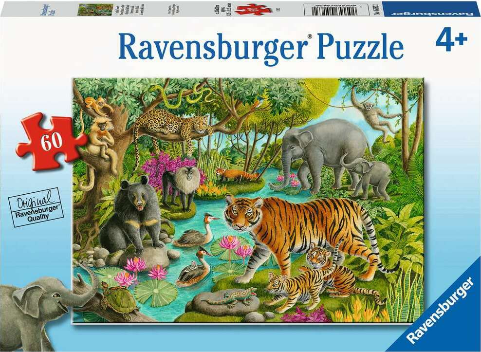 60 Piece Puzzle, Animals of India