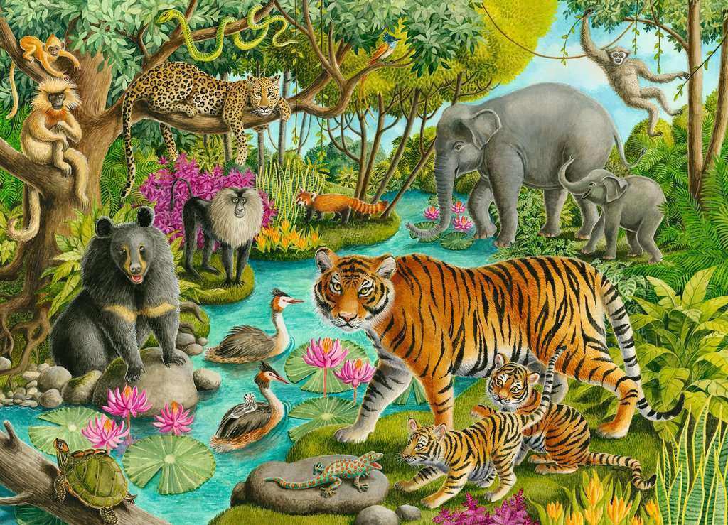 60 Piece Puzzle, Animals of India