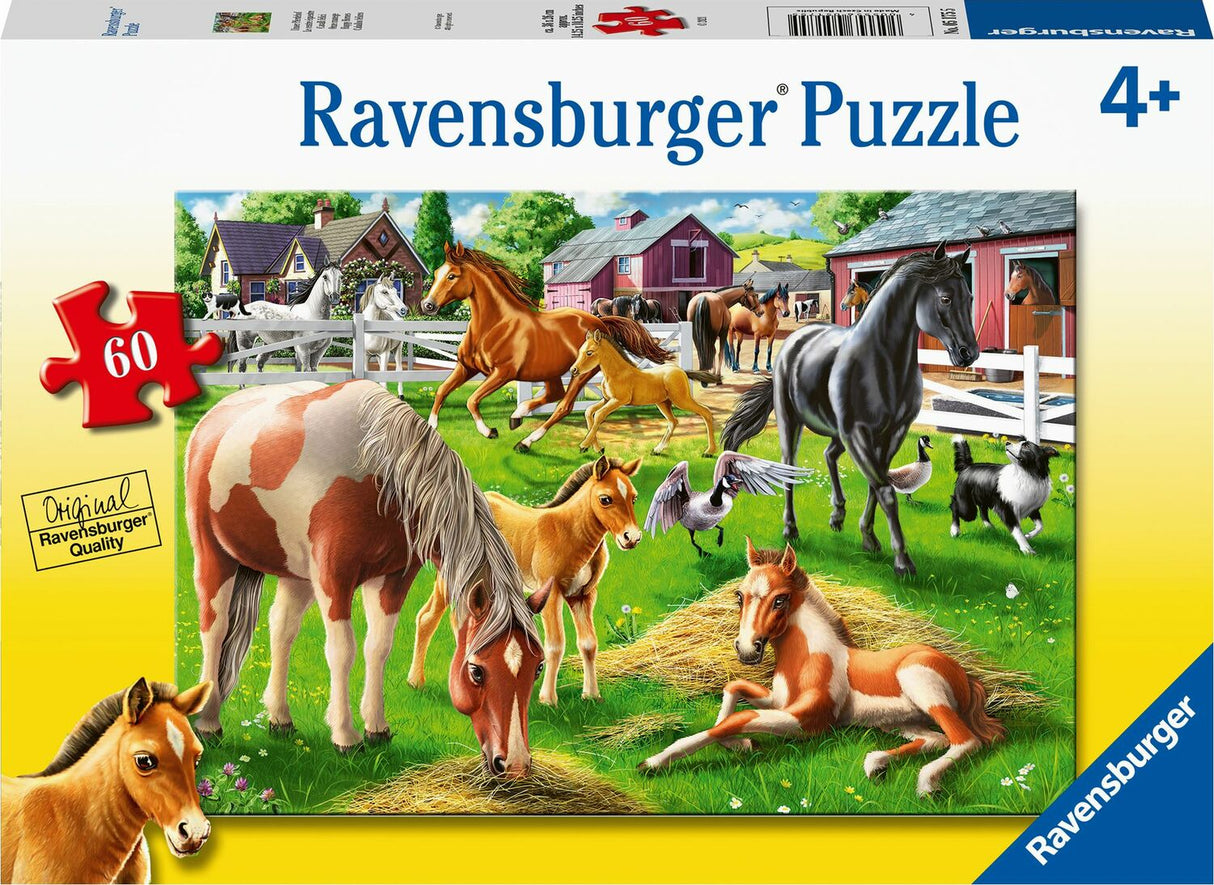 60 Piece Puzzle, Happy Horses