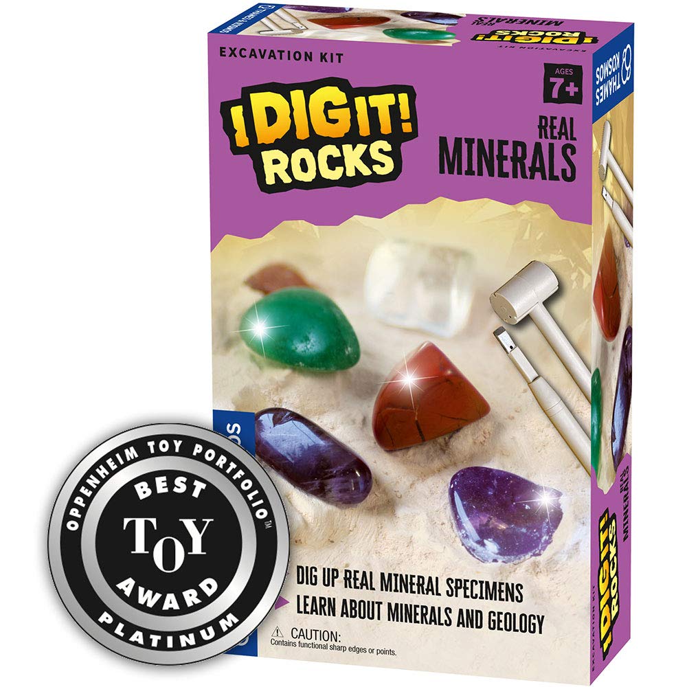 Real Minerals Excavation Kit Thames & Kosmos