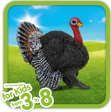 Schleich Turkey Schleich