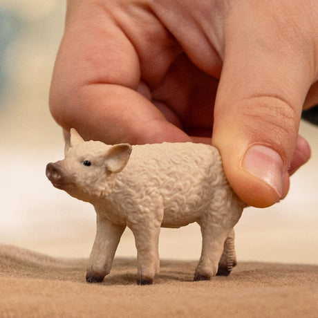 schleich FARM WORLD Mangalica Piglet