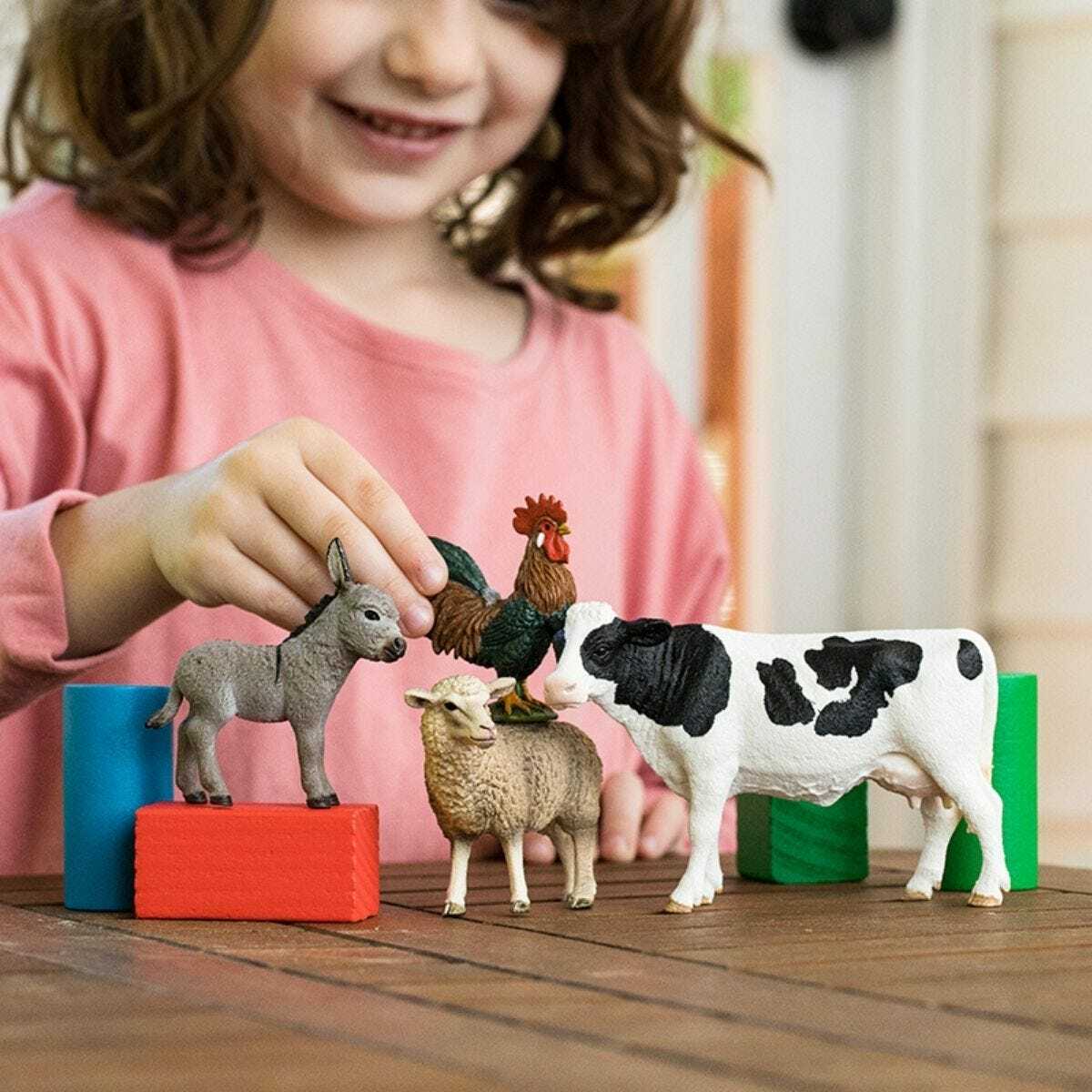 Schleich Farm World Starter Set