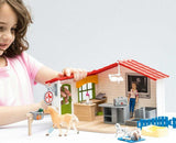 Veterinarian Practice with Pets