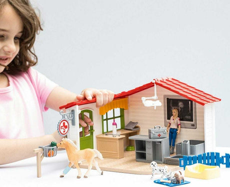 Veterinarian Practice with Pets