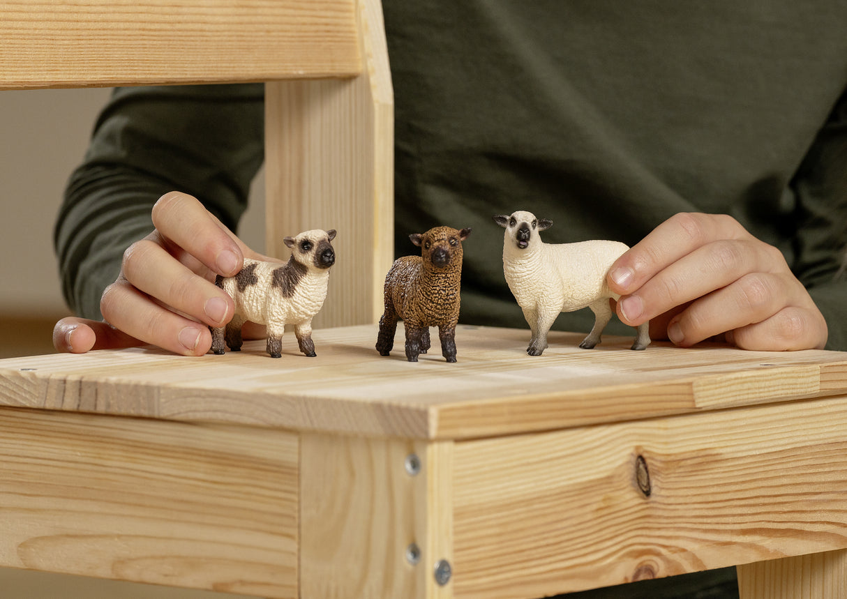 Schleich Sheep Friends Set