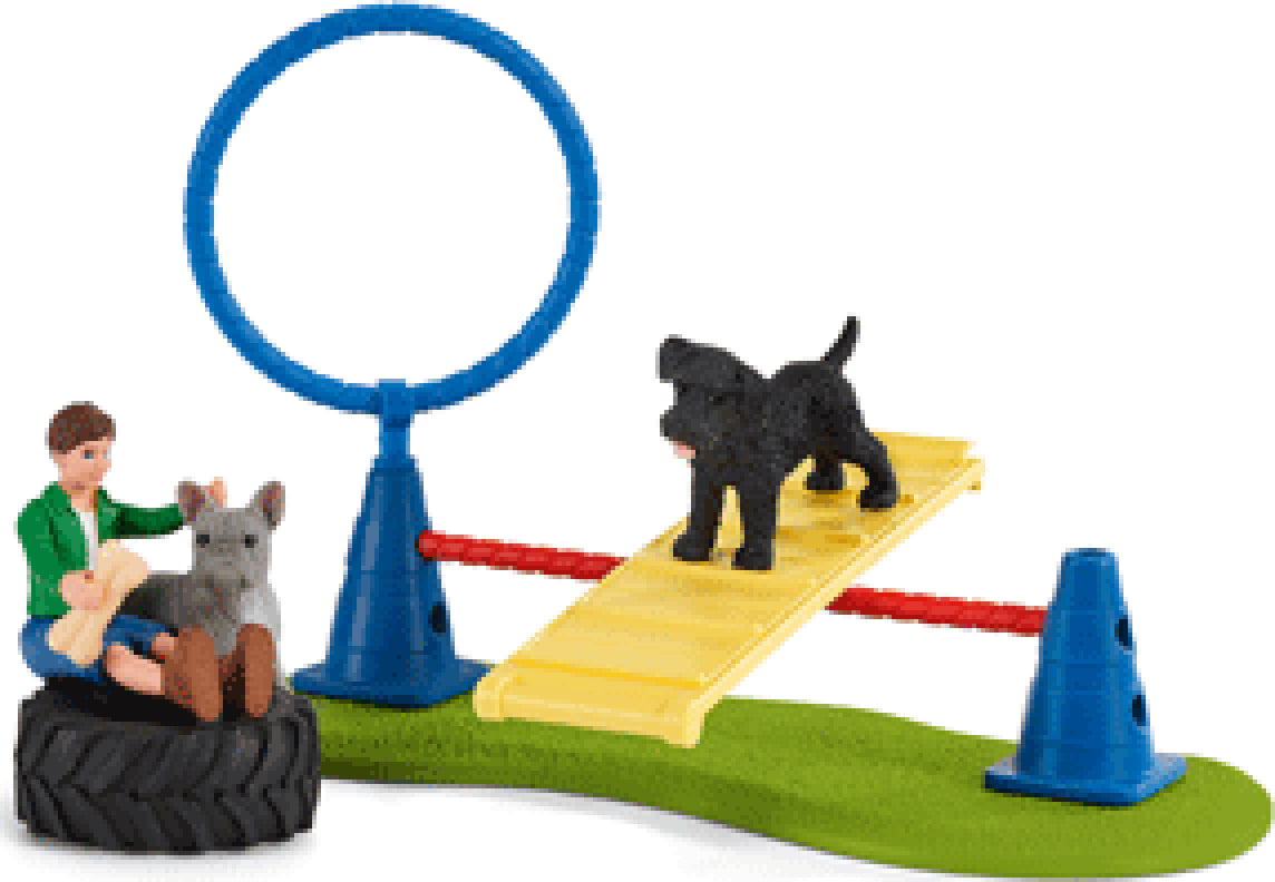 schleich Farm Life Puppy Agility Training
