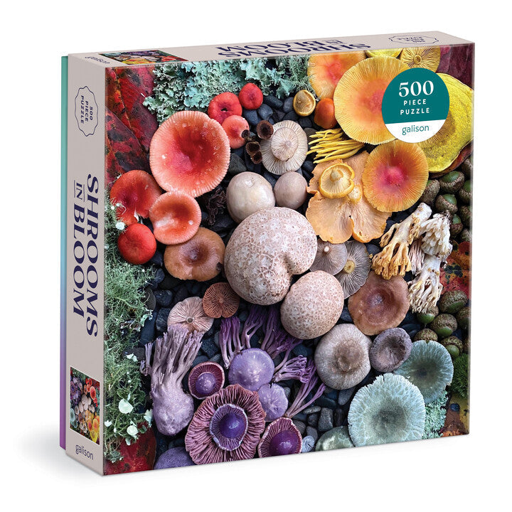 500 Piece Puzzle, Shrooms in Bloom