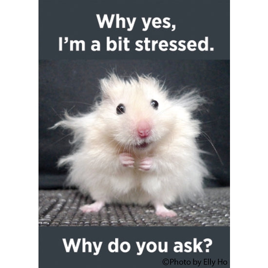 Yes I'm a Bit Stressed Magnet