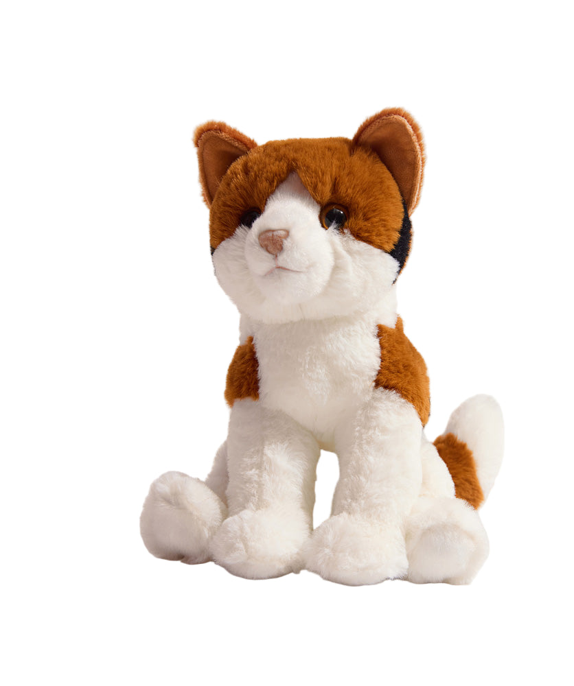 Patches Calico Cat