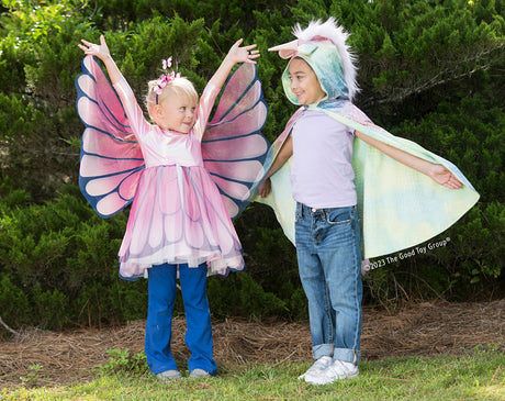 Butterfly Twirl Dress with Wings - Size 3/4