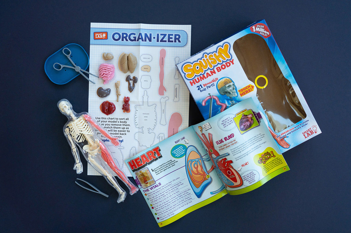 Smart Lab Squishy Human Body