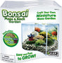 Bonsai Moss & Rock Garden Terrarium