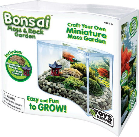 Bonsai Moss & Rock Garden Terrarium