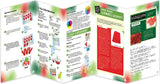 Gummy Candy Kit - Trees, Santas & Reindeer