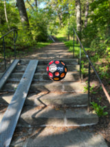 Waboba Moon Ball UV Color Changing