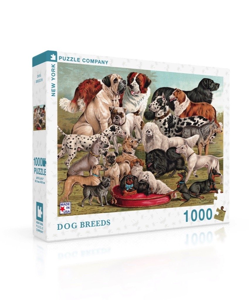  Group Photo of Dogs Jigsaw Puzzles 1000 Pieces Puzzles