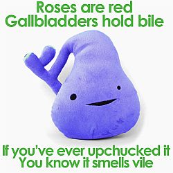 Gallbladder Plush - I Heart Guts